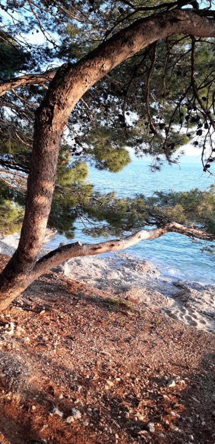 Apartment Rita Makarska Zewnętrze zdjęcie